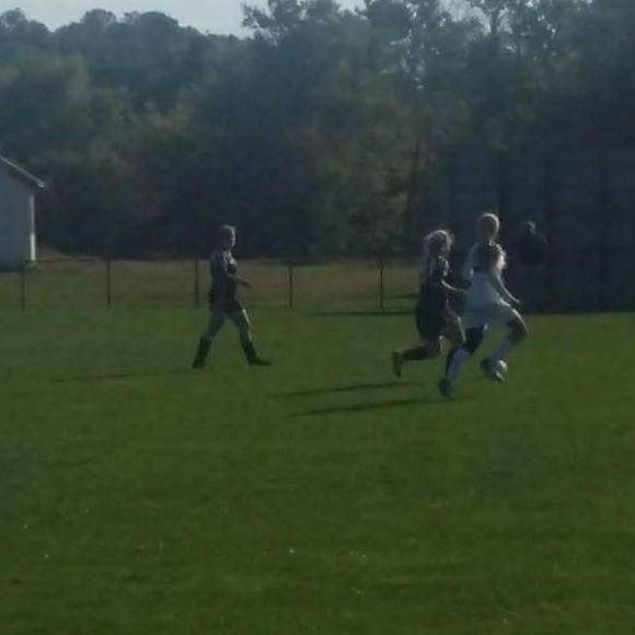 Meet your Posher, Mackenzie - Picture 1 of 1